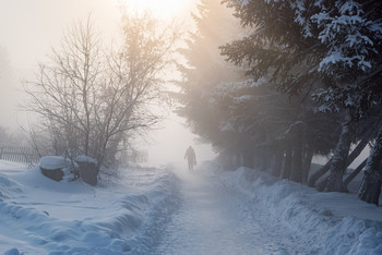 frost on the street / ***