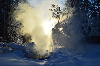 Winter landscape / ***