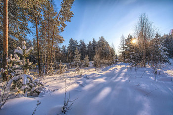 Winter afternoon / ***