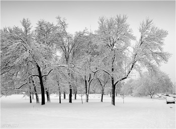 After snowfall / ***