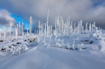 Zauberwald / Winterstimmung im Böhmerwald