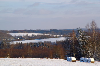 Belarusian hills / ***