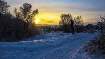 Winter road / ***