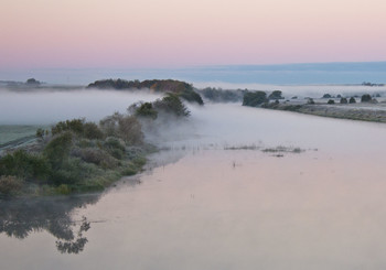 Fog / ***