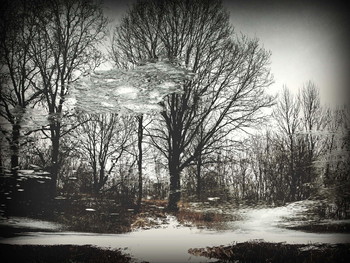 Thaw / ***
