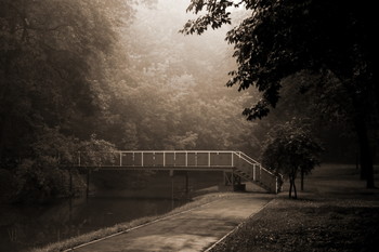 Bridge / ***