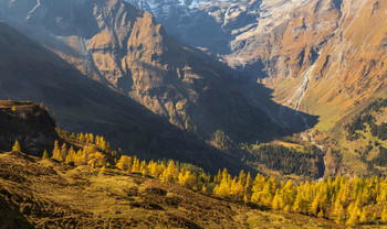 Morning in the mountains. / ***