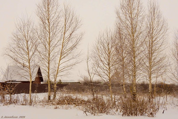 Rural landscape / ...