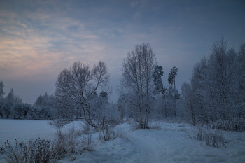 winter / ***