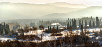 winter / ***