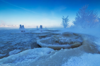 &nbsp; / ***