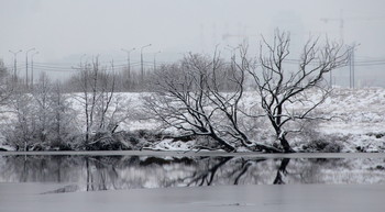 On the other bank. / ***