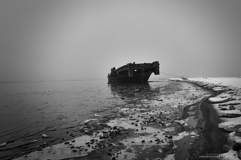Minimal / ***