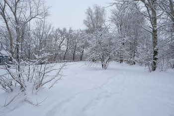 Just winter / ***