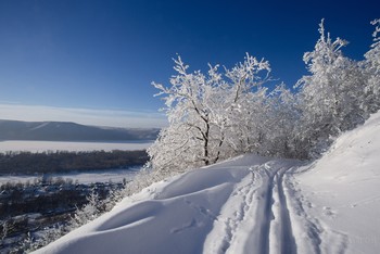frozen / ***