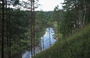 Taiga river / ***