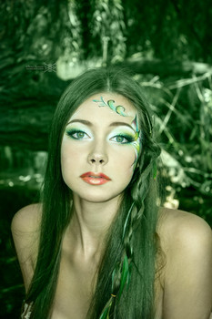 Forest Fairy / ***
