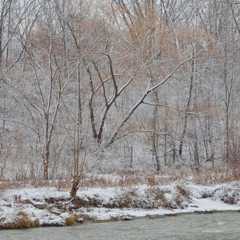 By the river / ***