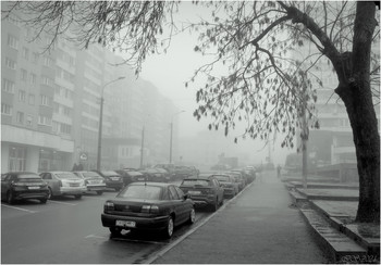Evening fog / ***
