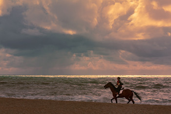 Evening exercise / ***