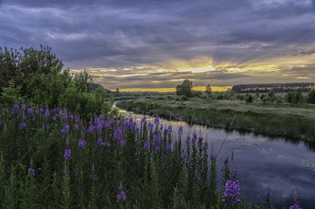 &nbsp; / 17.06.2017.