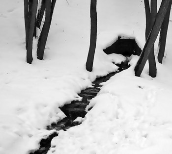 Creek / ***