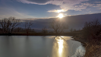 Evening / ***
