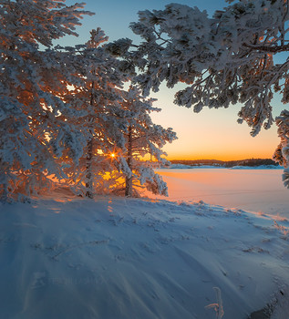 Frosty sunset / ***