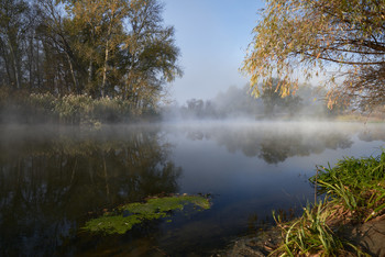 October fogs / ***