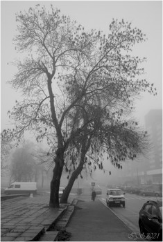 Evening fog / [img]https://i.imgur.com/RTGjwRN.jpg[/img]