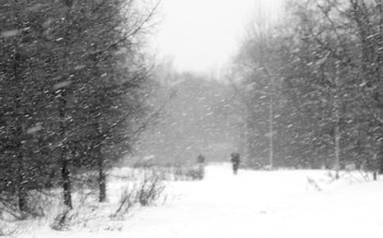 Snowstorm / ***