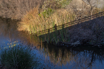 from the bridge / ....