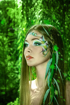 Forest Fairy / ***