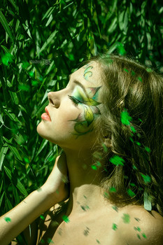 Forest Fairy / ***