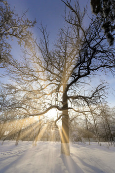 Spring is coming! / ***