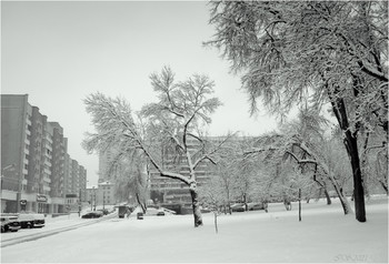 After snowfall / ***