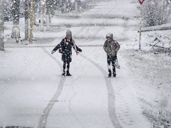 snow is falling... / ***