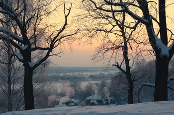 Freeze / ***