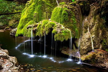 Forest Waterfall / ***