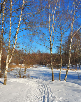 bright day / ...