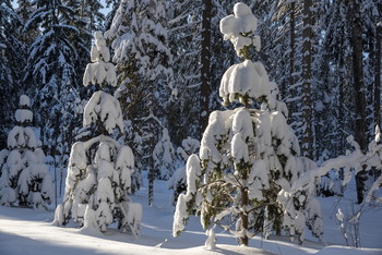 After snowfall / ...