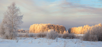 The first rays / ***
