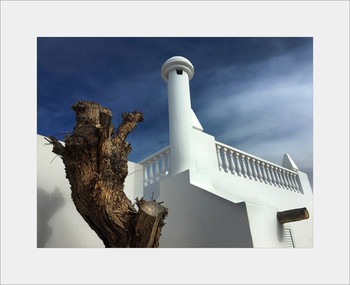 Lines and curves / Lines