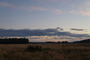 Evening / ***