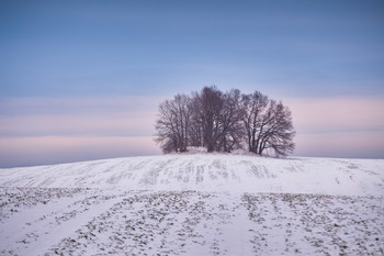 Winter Fields / ***
