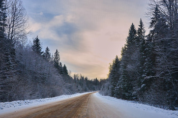 Winter road / ***