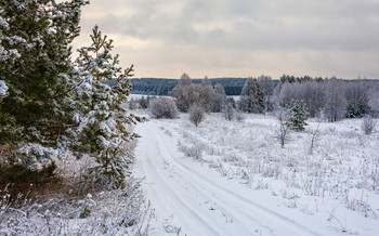 Winter road / ***