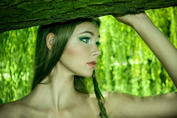Forest Fairy / ***