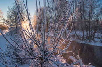 Quiet morning / ***