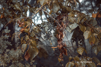 &nbsp; / ttps://vk.com/e.vaguro

https://www.instagram.com/vaguro_v_u_v/

https://web.facebook.com/evgeniy.vagouro

https://www.pexels.com/ru-ru/@10472344